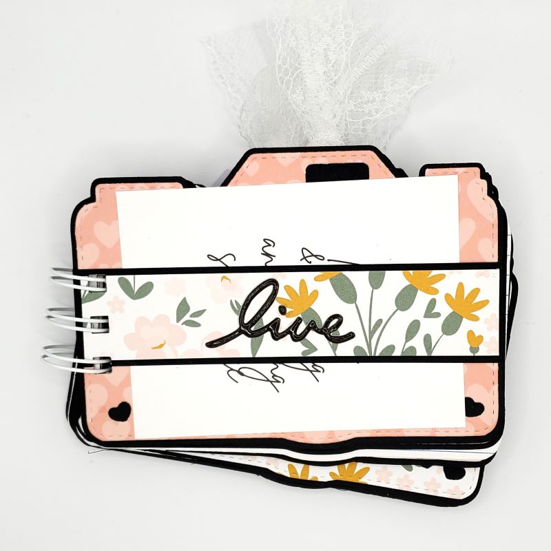 Laugh Camera Mini Album