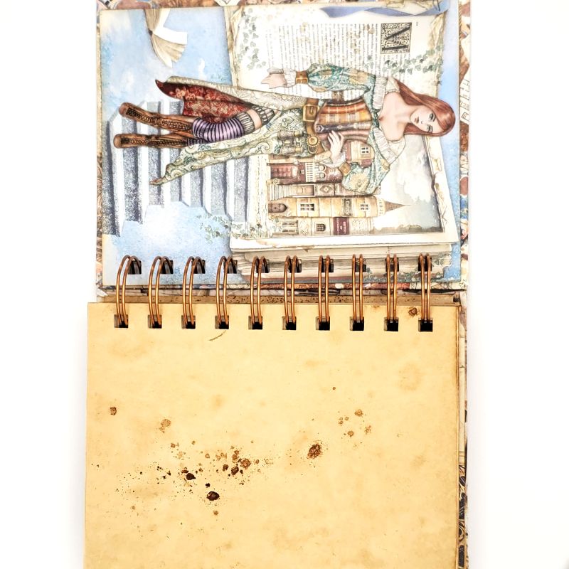 Airship Pirates Spiral Bound Notebook