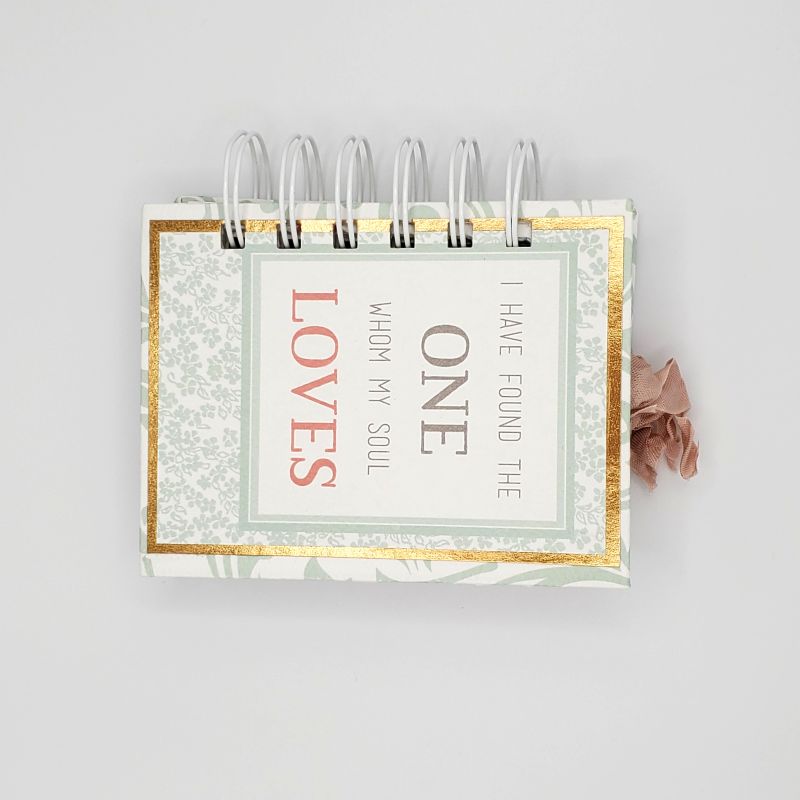 I Have Found The One Spiral Bound Notebook