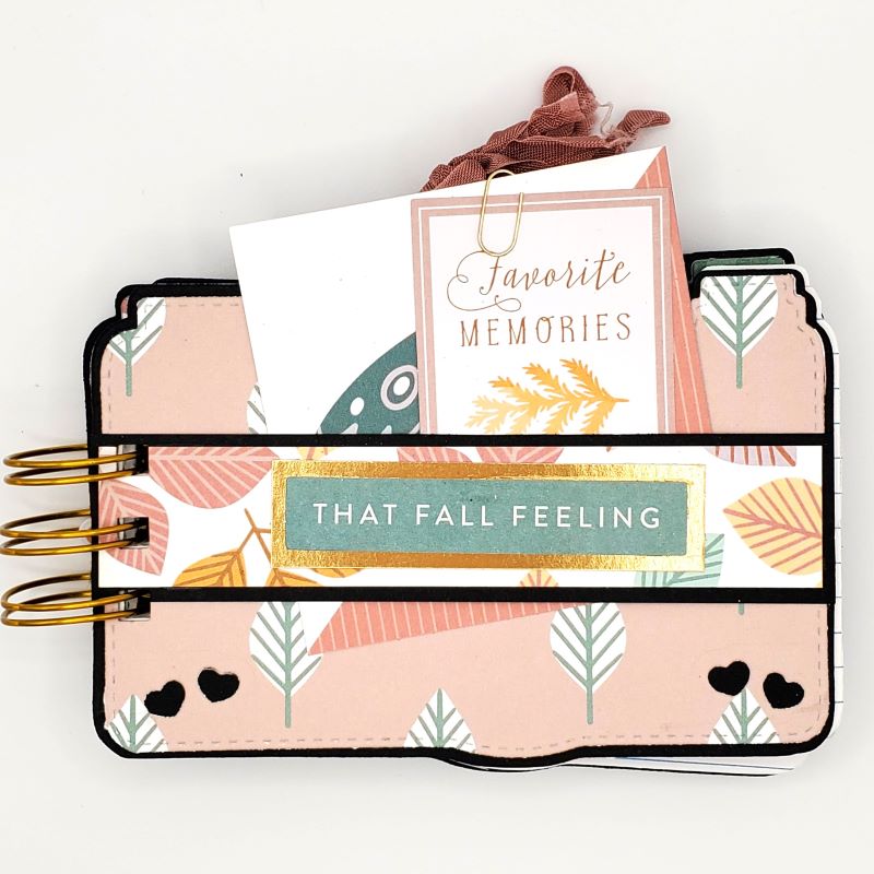 Joyful Fall Camera Mini Album