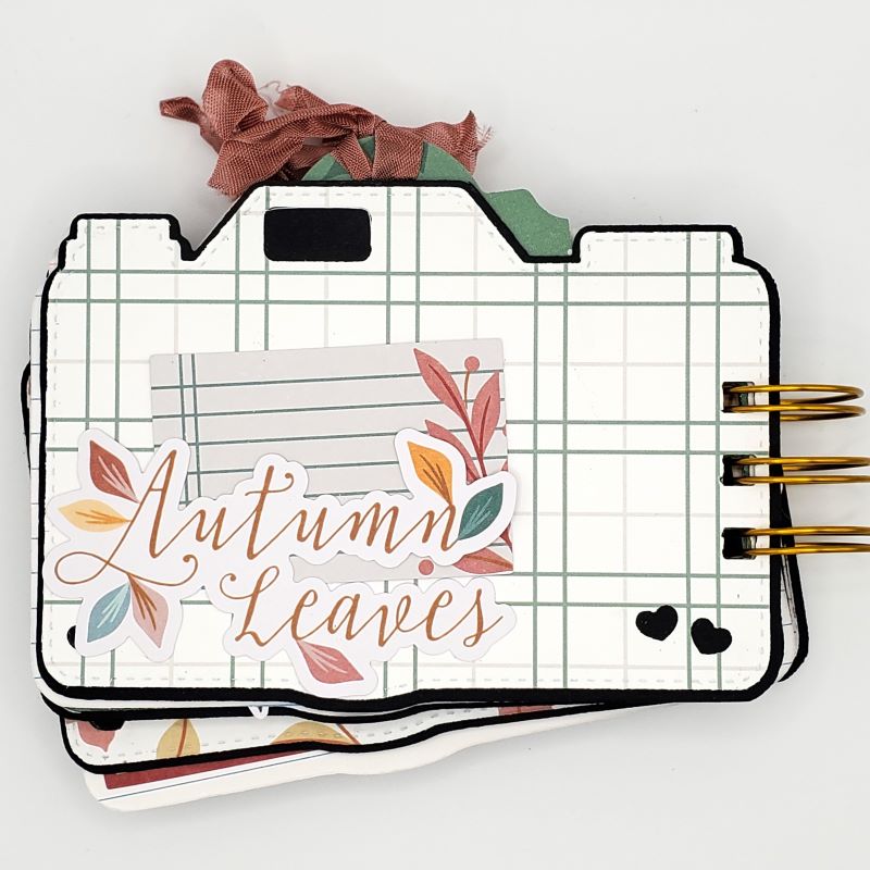 Joyful Fall Camera Mini Album