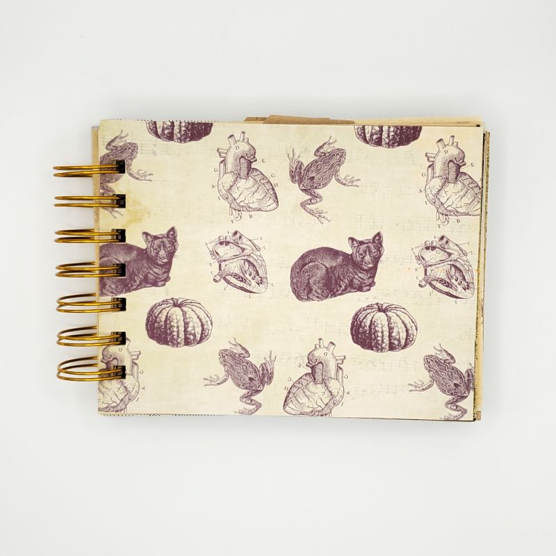 The Raven Spiral Bound Notebook